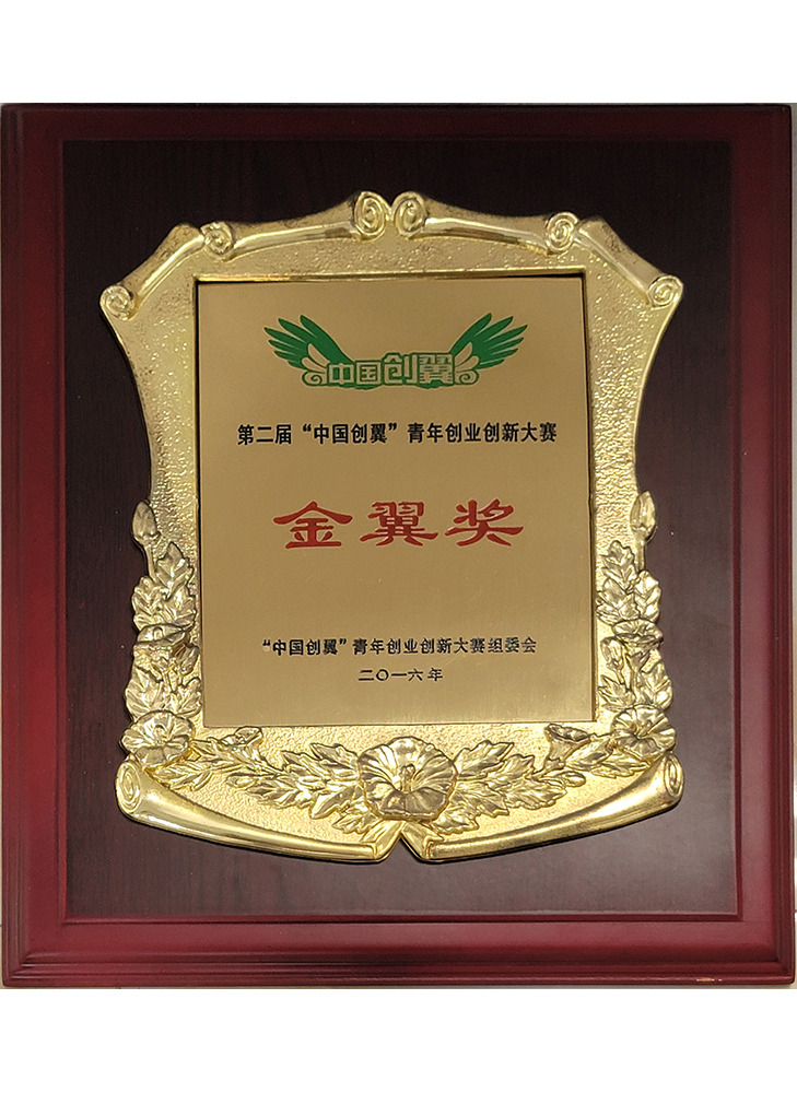 第二届“中国创翼青年创业创新大赛金翼奖“