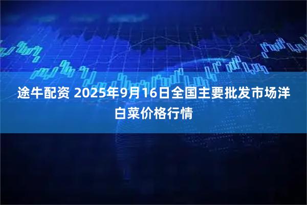 途牛配资 2025年9月16日全国主要批发市场洋白菜价格行情