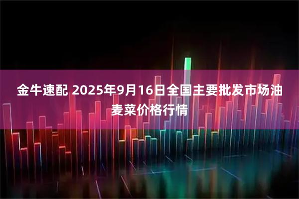 金牛速配 2025年9月16日全国主要批发市场油麦菜价格行情