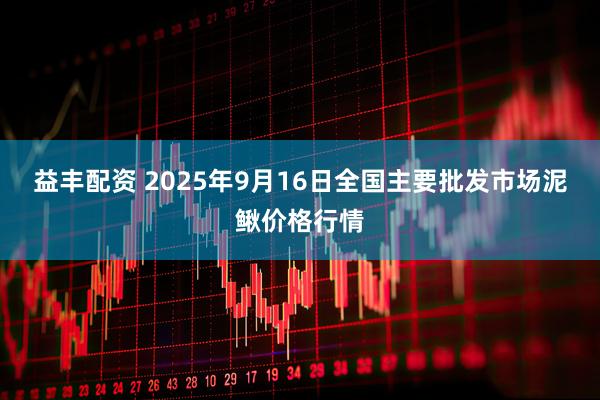 益丰配资 2025年9月16日全国主要批发市场泥鳅价格行情