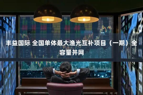 丰益国际 全国单体最大渔光互补项目（一期）全容量并网