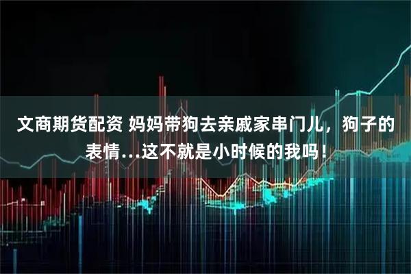 文商期货配资 妈妈带狗去亲戚家串门儿，狗子的表情…这不就是小时候的我吗！