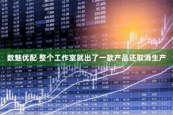 数魅优配 整个工作室就出了一款产品还取消生产