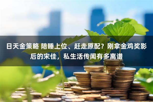 日天金策略 陪睡上位、赶走原配？刚拿金鸡奖影后的宋佳，私生活传闻有多离谱