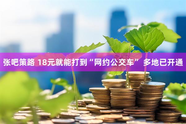张吧策路 18元就能打到“网约公交车” 多地已开通