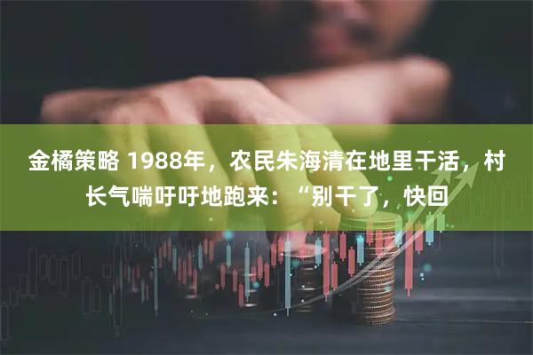 金橘策略 1988年，农民朱海清在地里干活，村长气喘吁吁地跑来：“别干了，快回